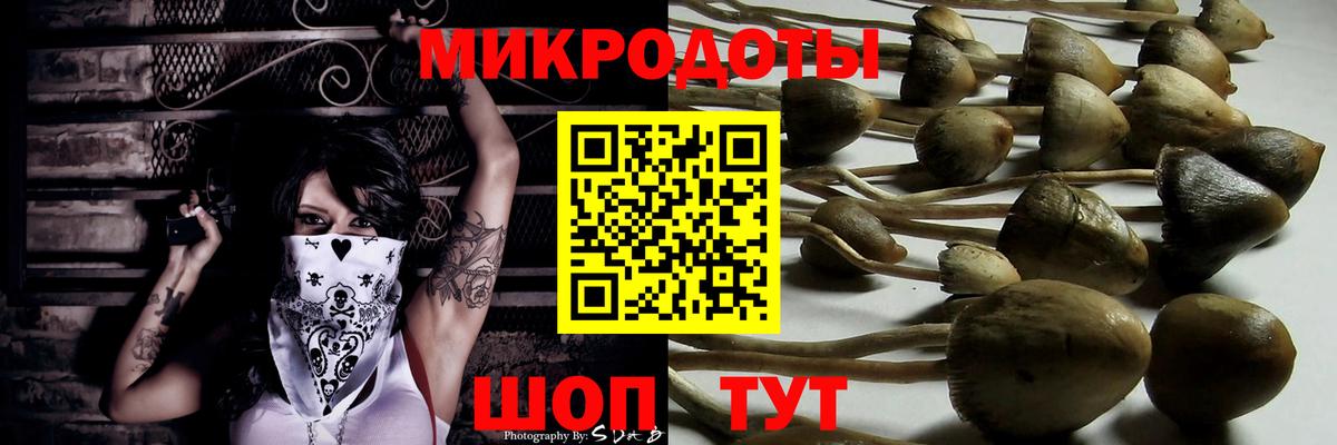 Краснодар  Псилоцибиновые грибы мицелий  Вход с VPN 